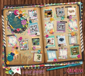 may2019_passportF700.jpg
