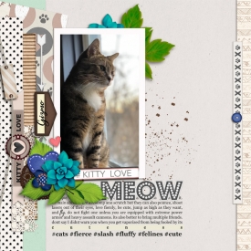 meowWEB.jpg
