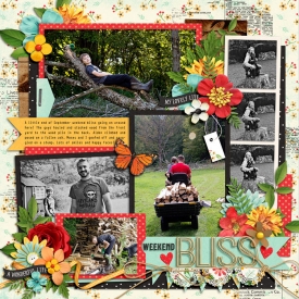 nov-OLW-bliss.jpg