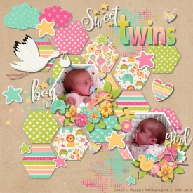 sweet_twins_gallery_4_Inspired_By_Paper_Piecing.jpg