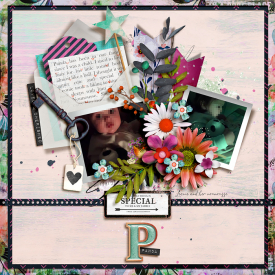 tnp-KEEPSAKES-bundle-LEA-LO1.jpg