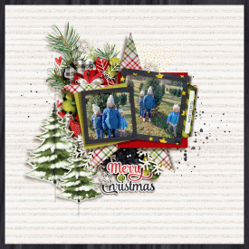 tnp-OHCHRISTMASTREEv3-PageDrafts-riverrose-comfortandjoy-LEA.jpg