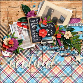 tnp-lynnG-SCRAPSTACKSNo12-LEA.jpg