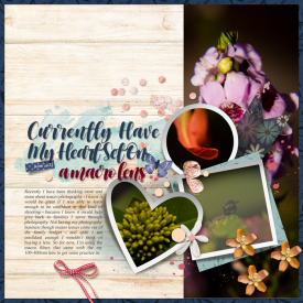 tnp-ourplace-template.jpg