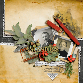 tnp-rememberthem-bundle-LEA.jpg