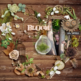 wendyp-Time-to-bloom.jpg