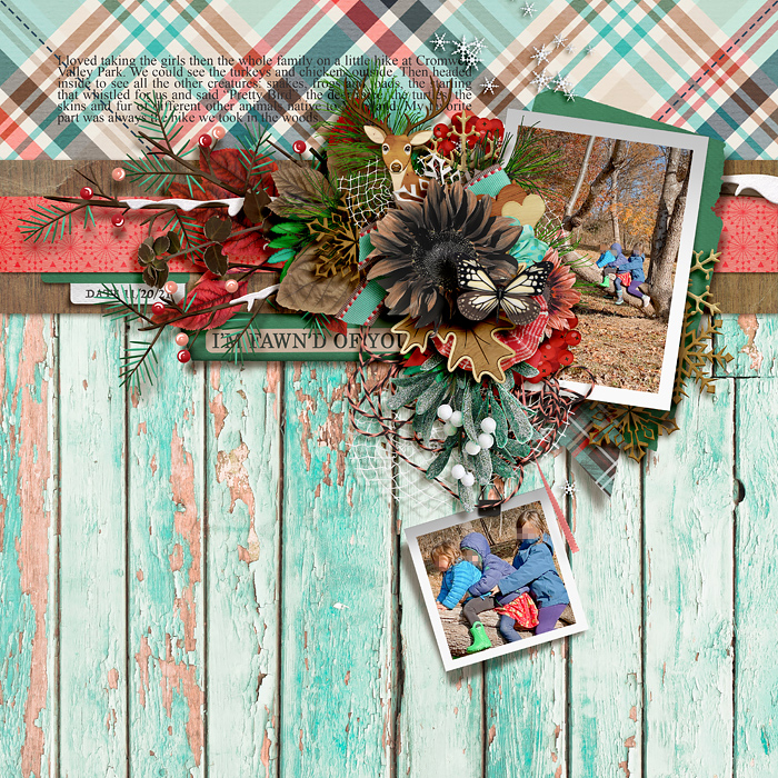tnp-BERRY_FAWN-bundle-LEA