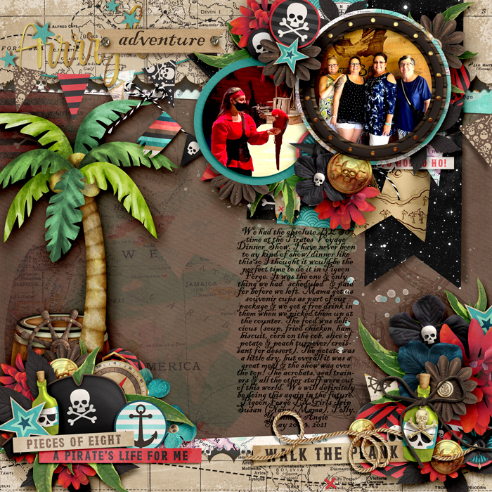 tnp_flagabunting_angiemillerLO1