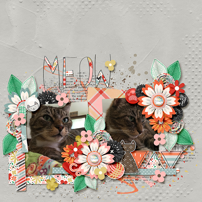 totoro-web