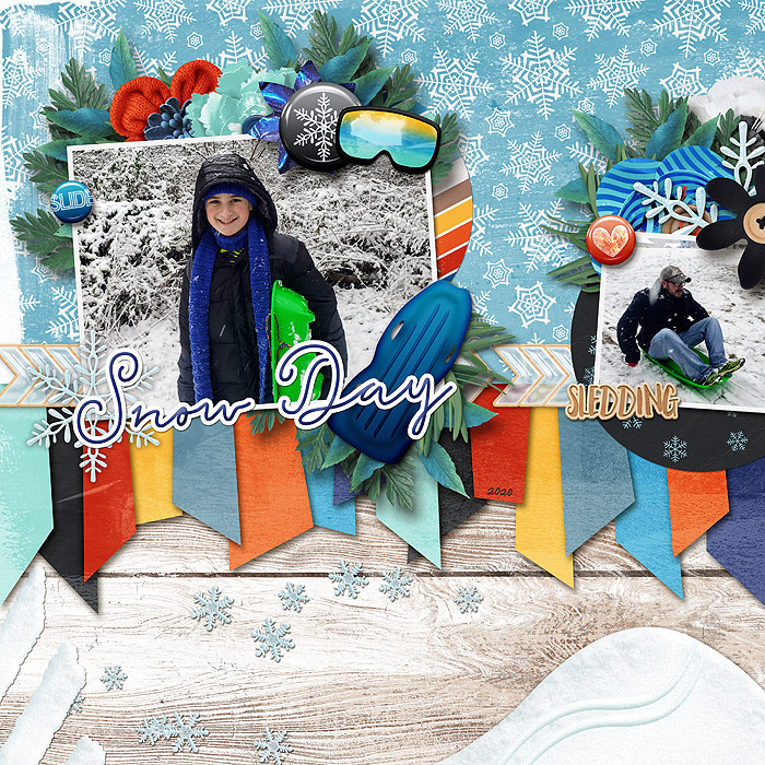 web_2020_feb_SLEDDING