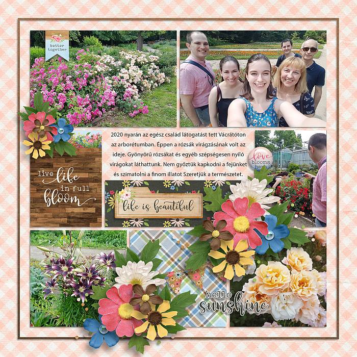 Beautyinbloomsb9