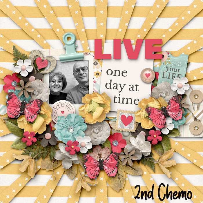Gallery-Live-One-Dsy-at-a-Time