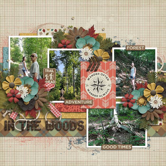 Inthewoodsst1