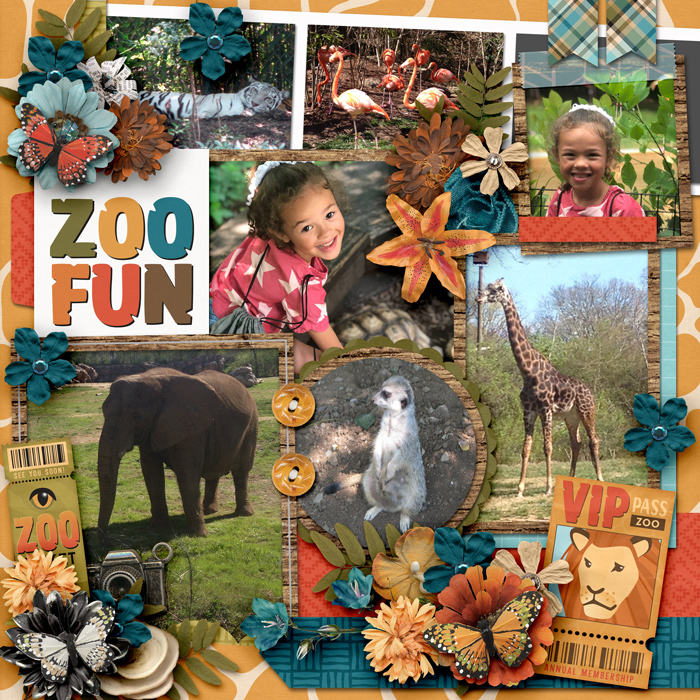 SSD-Zoo-Fun