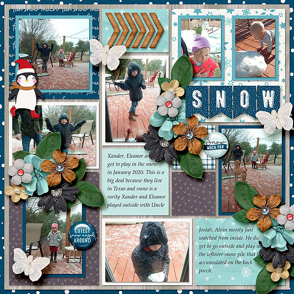 Tinci_DOTR1_1_ponytails_snowmuchfun_robin_web