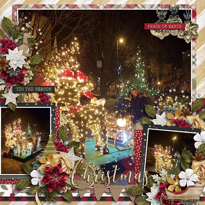 Woodlandchristmascm1