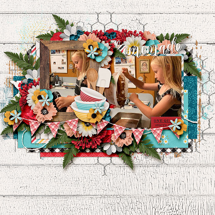 ponytails-temptations9_countrykitchen_robin_web