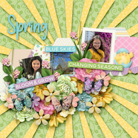 Gallery-Spring.jpg
