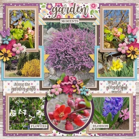 Gardenpathmj5.jpg