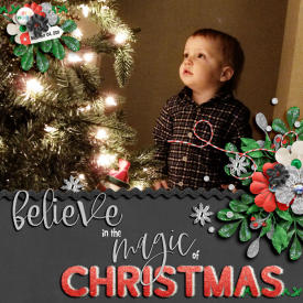 MagicofChristmas11web.jpg