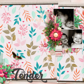 Oh_So_Tender.jpg
