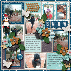 Tinci_DOTR1_1_ponytails_snowmuchfun_robin_web.jpg