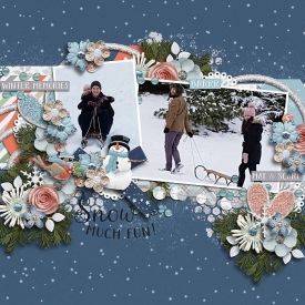 Winterfrostytoh1.jpg