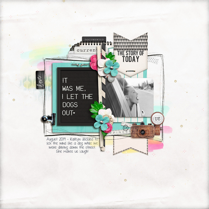 2019-08_Who_let_the_dogs_out