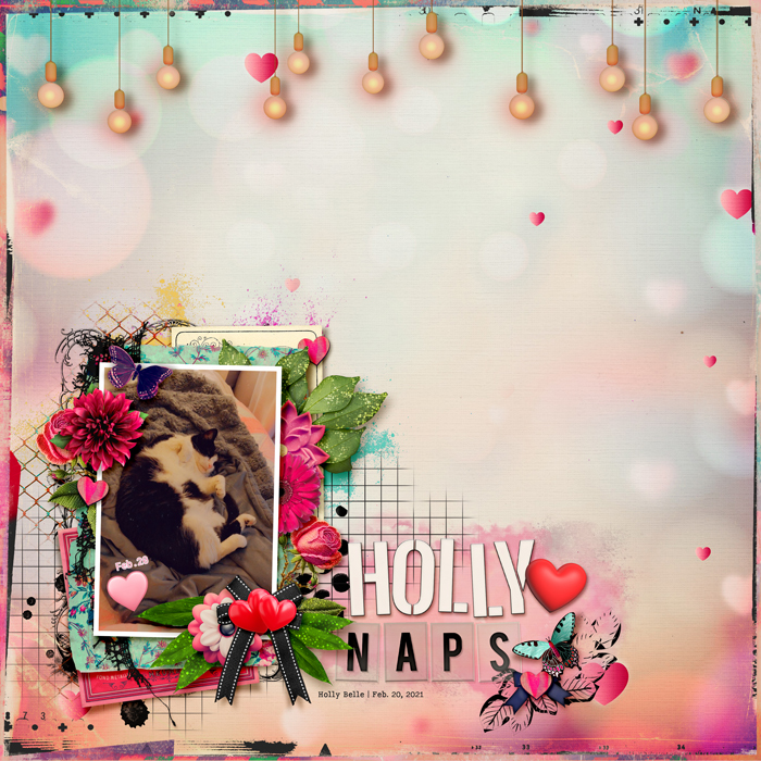 2021-02-20_HollyLovesNaps_HollyBelle_WEB