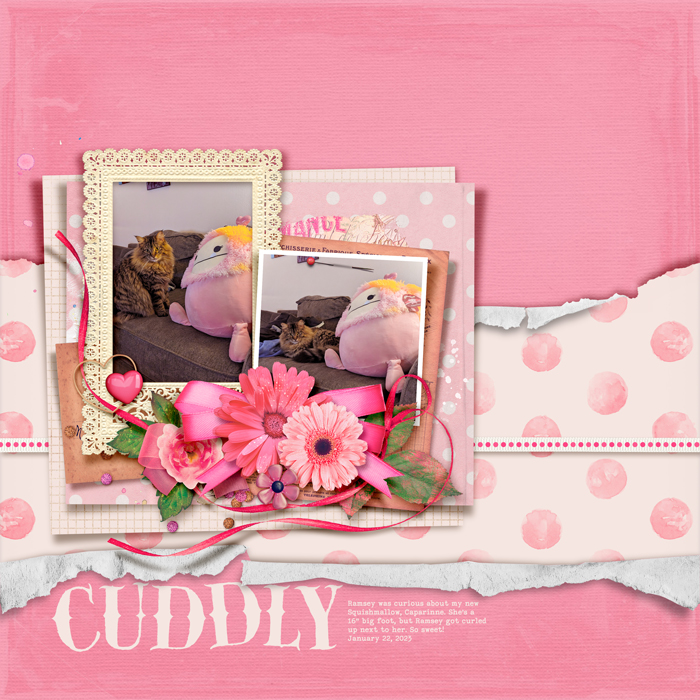 2023-01-22_Cuddly_Ramsey_WEB
