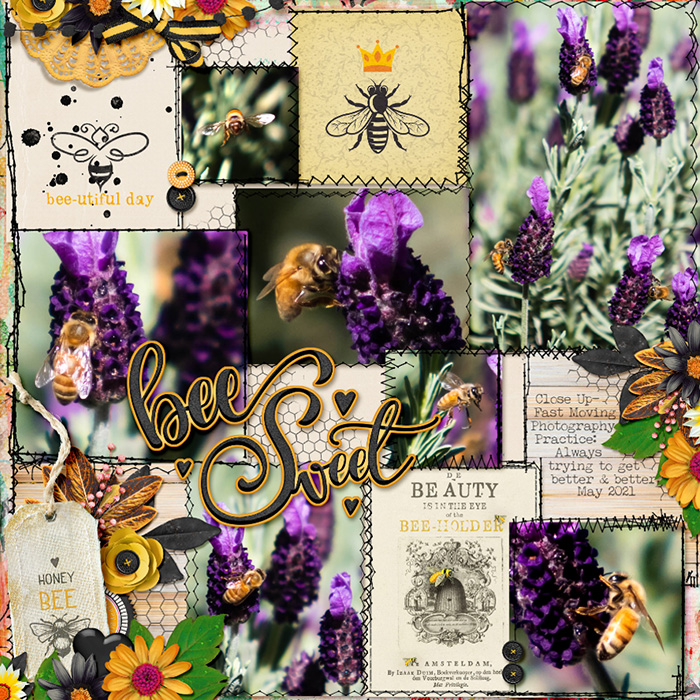 Bee_Sweet