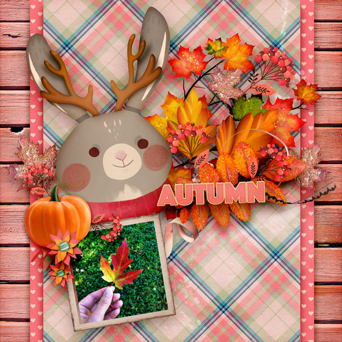 Jackalope