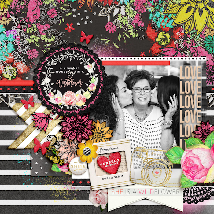 SPD_LGMO_LAYOUT1edit