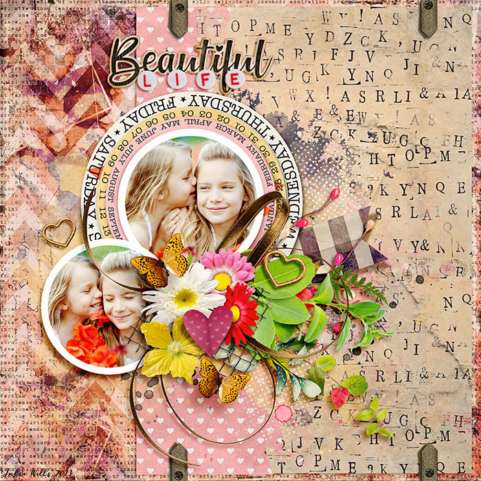 SPD_TNP_beautiful-life