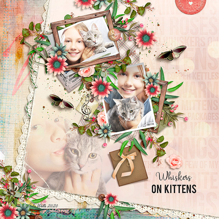 SPD_whiskers-on-kittens