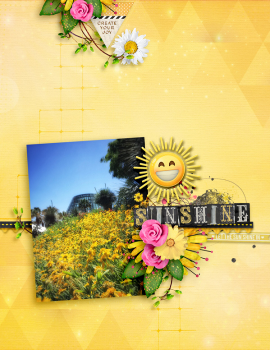 Sunshine25