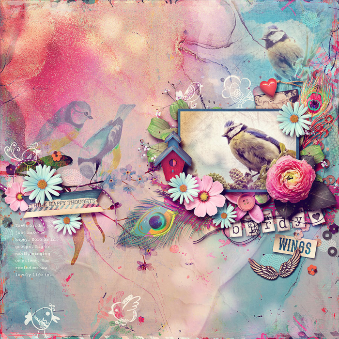birdy wings