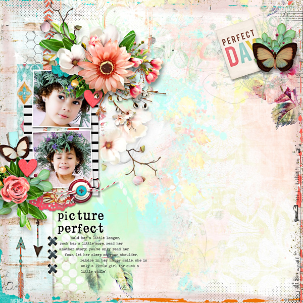 picture-perfect-