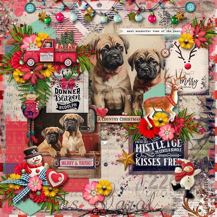 spd-acountrychristmas-JenniR