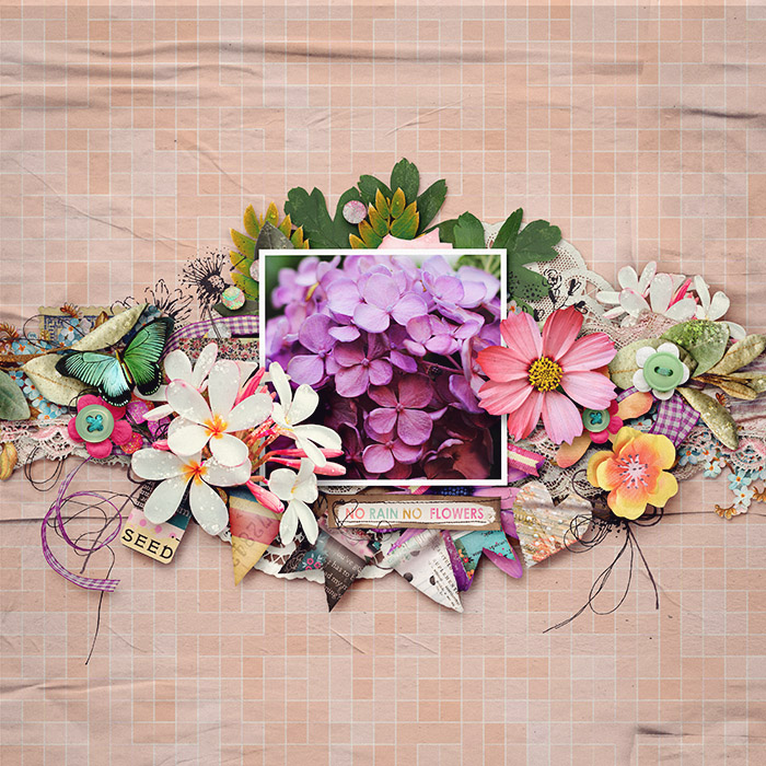 spd-alwaysblooming-Tracy1