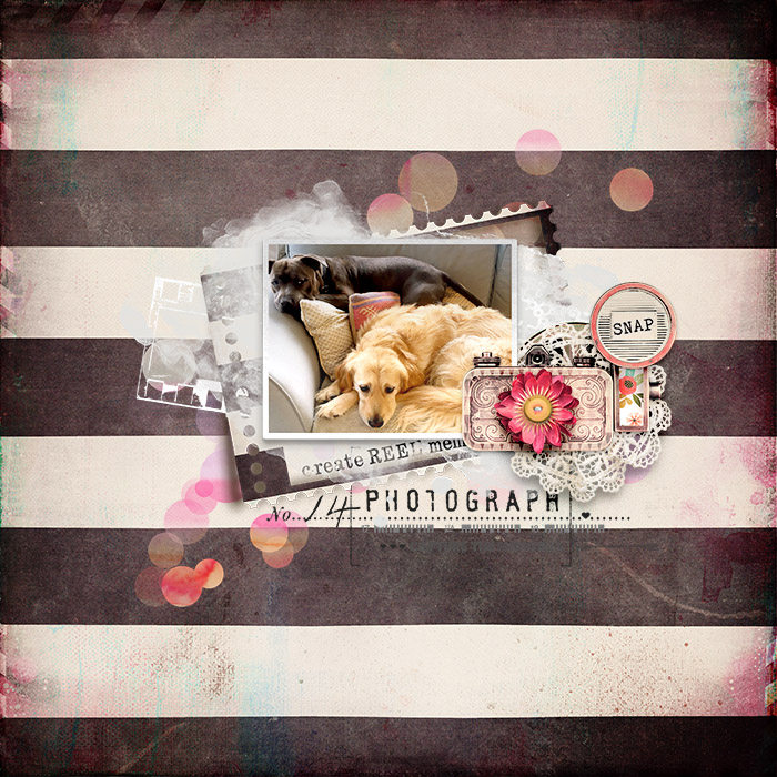 spd-capturethememories-Tracy