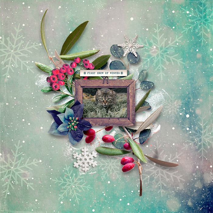 spd-celebratethechill_Tracy