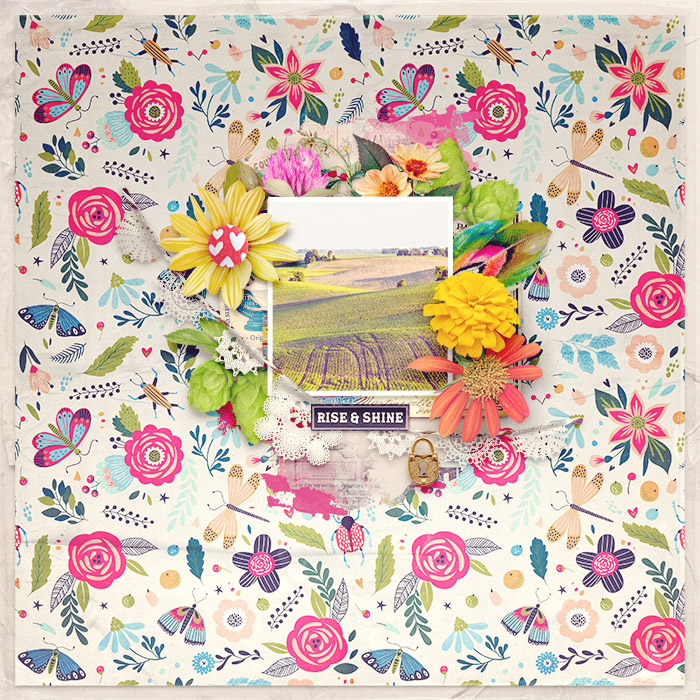 spd-countryliving-TRACY