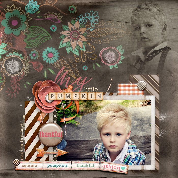 spd-pumpkinspice-layout2