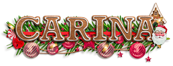 spd_northpole-dec21siggy