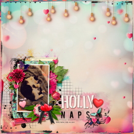2021-02-20_HollyLovesNaps_HollyBelle_WEB.jpg