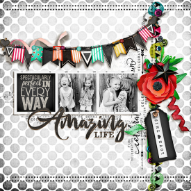 700SSDspd-celebratelife-pp27.jpg