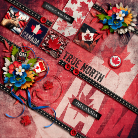 Oh-Canada3.jpg