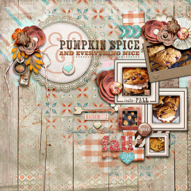 Pumpkin-Spice3.jpg