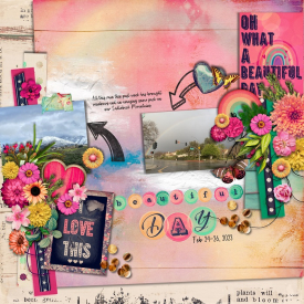 SPD-ABeautifulDay-Trish-LO1.jpg